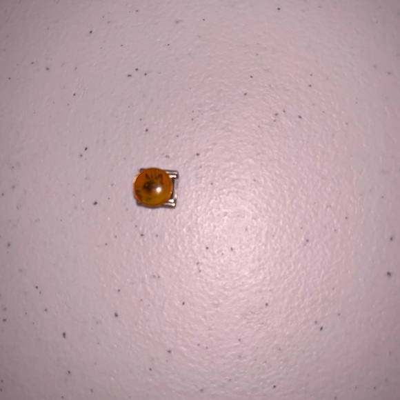 Siamese Stainless Steel Italian Charm - Picture 1 of 3